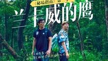 帮主你这是喜脉啊