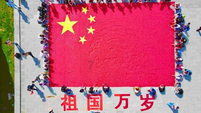 救援小白狼